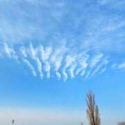 ヒメ日記 2025/03/04 21:02 投稿 シノ オーガズム