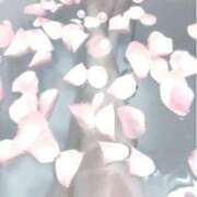 ヒメ日記 2025/03/17 23:55 投稿 シノ オーガズム