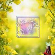 ヒメ日記 2025/03/29 00:22 投稿 シノ オーガズム