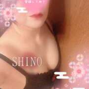 ヒメ日記 2025/04/29 23:59 投稿 シノ オーガズム