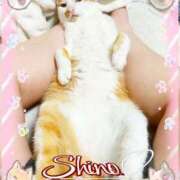 ヒメ日記 2025/06/04 21:46 投稿 シノ オーガズム