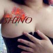 ヒメ日記 2025/06/22 01:59 投稿 シノ オーガズム