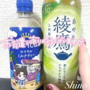 ヒメ日記 2025/10/04 20:48 投稿 シノ オーガズム