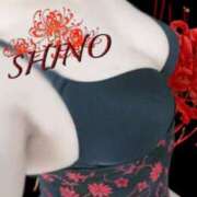 ヒメ日記 2025/10/10 12:47 投稿 シノ オーガズム