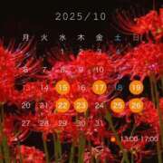 ヒメ日記 2025/10/14 23:01 投稿 シノ オーガズム