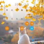 ヒメ日記 2025/11/13 23:12 投稿 シノ オーガズム