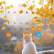 ヒメ日記 2025/11/13 23:04 投稿 シノ オーガズム