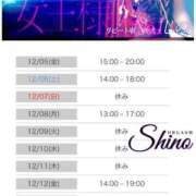 ヒメ日記 2025/12/04 23:23 投稿 シノ オーガズム