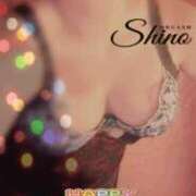 シノ ぎちぎちに縛られたい変態 オーガズム