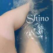 ヒメ日記 2025/12/14 13:10 投稿 シノ オーガズム