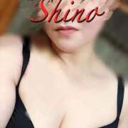 ヒメ日記 2025/12/15 13:51 投稿 シノ オーガズム