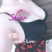 ヒメ日記 2026/02/06 11:22 投稿 シノ オーガズム