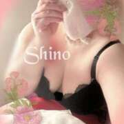 ヒメ日記 2026/02/28 14:11 投稿 シノ オーガズム