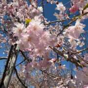 ヒメ日記 2026/04/12 15:18 投稿 るう 仙台大人の秘密倶楽部