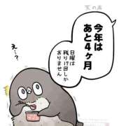 ヒメ日記 2025/09/02 00:30 投稿 スミレ AMOUR（アムール）