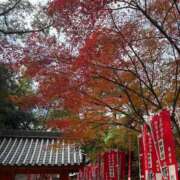 ヒメ日記 2025/12/15 14:14 投稿 スミレ AMOUR（アムール）