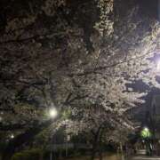 ヒメ日記 2026/04/01 01:09 投稿 スミレ AMOUR（アムール）