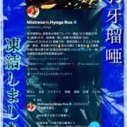 ヒメ日記 2025/12/19 20:23 投稿 豹牙瑠唖女王 完全会員制SM倶楽部M′s Reboot（エムズリブート）