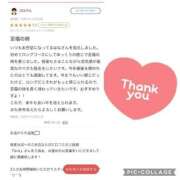 ヒメ日記 2024/12/22 10:41 投稿 はな MIKADO