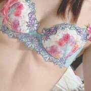 ヒメ日記 2025/03/28 22:31 投稿 はな MIKADO