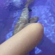 ヒメ日記 2025/04/11 23:21 投稿 はな MIKADO