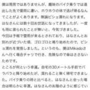 ヒメ日記 2025/07/07 06:27 投稿 はな MIKADO