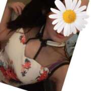 ヒメ日記 2025/08/20 13:06 投稿 はな MIKADO