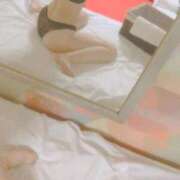 ヒメ日記 2025/11/17 09:17 投稿 はな MIKADO