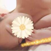 ヒメ日記 2024/12/29 00:32 投稿 あすみ 千葉人妻セレブリティ（ユメオト）