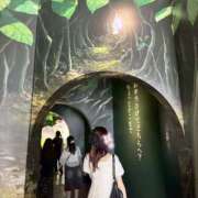 ヒメ日記 2025/06/16 11:43 投稿 ゆき かりんとplus　上野御徒町