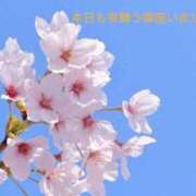 ヒメ日記 2025/03/24 23:35 投稿 りあ 快楽玉乱堂