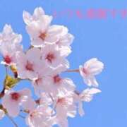 ヒメ日記 2025/03/30 00:25 投稿 りあ 快楽玉乱堂