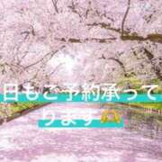 ヒメ日記 2025/03/30 23:05 投稿 りあ 快楽玉乱堂