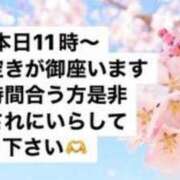ヒメ日記 2025/04/20 10:46 投稿 りあ 快楽玉乱堂