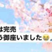 ヒメ日記 2025/04/27 17:16 投稿 りあ 快楽玉乱堂