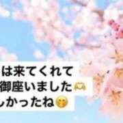 ヒメ日記 2025/04/29 00:06 投稿 りあ 快楽玉乱堂
