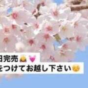 ヒメ日記 2025/04/29 10:36 投稿 りあ 快楽玉乱堂