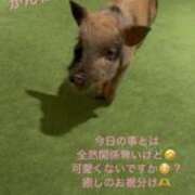 ヒメ日記 2025/08/13 23:16 投稿 りあ 快楽玉乱堂