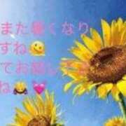 ヒメ日記 2025/08/14 10:01 投稿 りあ 快楽玉乱堂