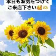 ヒメ日記 2025/08/27 12:16 投稿 りあ 快楽玉乱堂