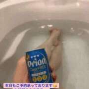 ヒメ日記 2025/11/08 05:16 投稿 りあ 快楽玉乱堂