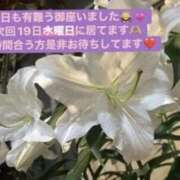 ヒメ日記 2025/11/17 12:26 投稿 りあ 快楽玉乱堂