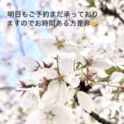 ヒメ日記 2026/04/12 16:06 投稿 りあ 快楽玉乱堂