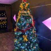 ヒメ日記 2025/12/26 12:09 投稿 みぽち 舐めたくてグループ〜ペロンチョ学園〜八王子校