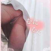 ヒメ日記 2025/02/12 22:02 投稿 菅野　あおい 淫乱OL派遣商社 斉藤商事