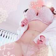 ヒメ日記 2025/12/15 11:56 投稿 菅野　あおい 淫乱OL派遣商社 斉藤商事