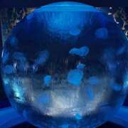 ヒメ日記 2024/12/27 17:57 投稿 土田 熟女待機所 厚木店