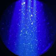 ヒメ日記 2025/03/08 20:08 投稿 土田 熟女待機所 厚木店