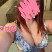 ヒメ日記 2025/03/06 18:00 投稿 こはる スイカ