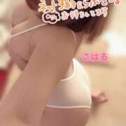 ヒメ日記 2025/03/18 18:16 投稿 こはる スイカ